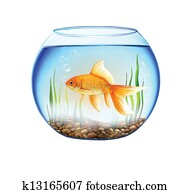Gold fish in a Round aquarium with stones and plants. close up view of a fish bowl Gold fish in a Round aquarium with stones and plants. close up view of a fish bowl