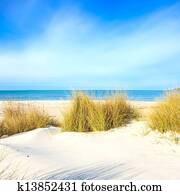 Grass on a white sand dunes beach, ocean and sky Grass on a white sand dunes beach, ocean and sky