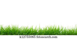 Grass Grass
