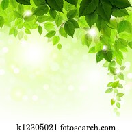 green leaves green leaves