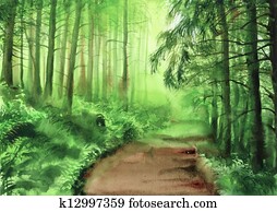 Green misty forest Green misty forest