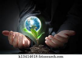 green plant on earth green plant on earth