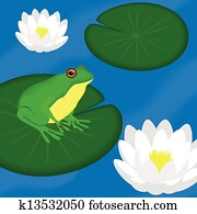 grüner frosch, sitzt, auf, a, blatt, in, a, teich grüner frosch, sitzt, auf, a, blatt, in, a, teich