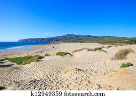 guincho, papagaio, surfar, praia, paisagem., cascais, portugal