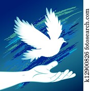 hand, avbild, och, fågel, duva, dove.