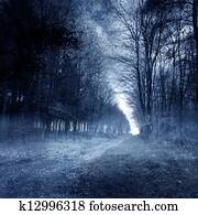 Haunted Forest