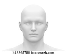 Head front - face frontal view Head front - face frontal view