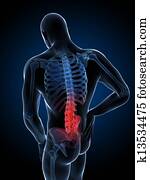 Highlighted spine Highlighted spine