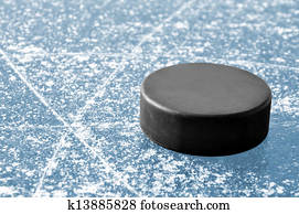 hockey puck 