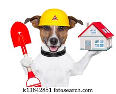 home dog builder