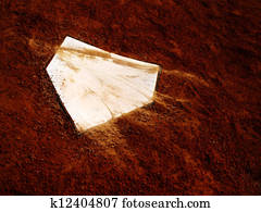 Home Plate Home Plate