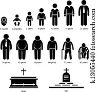 homem, human, envelhecimento, crescendo, processo