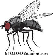 housefly housefly