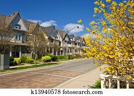 Houses on residential street in spring Houses on residential street in spring
