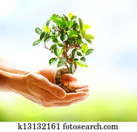 Human Hands Holding Green Plant Over Nature Background 