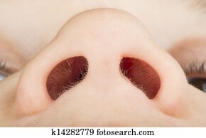Human nose