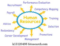 Human resources Human resources
