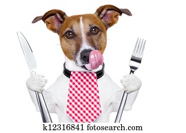 hungry dog hungry dog