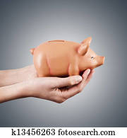 hände, halten, rosafarbenes schwein, spaardose, volkswirtschaft, und, finanz