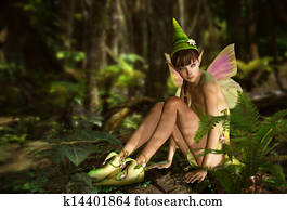 In the Fairy Forest In the Fairy Forest
