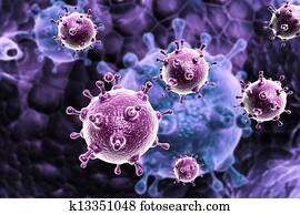 influenza, virus	