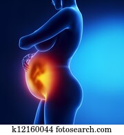 innehållsrik kvinna, med, synbar, foster