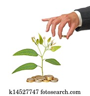 Investment to green business Investment to green business