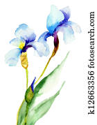 Iris flowers Iris flowers