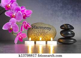 Japan zen garden Japan zen garden