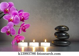 Japanese zen garden Japanese zen garden