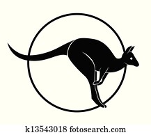 kangaroo kangaroo