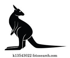 kangaroo kangaroo