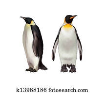 King Penguin, Gentoo and emperor penguin King Penguin, Gentoo and emperor penguin