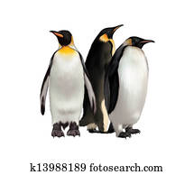 King Penguin, Gentoo and emperor penguin