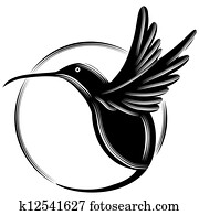 kolibri kolibri