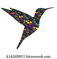 kolibri kolibri