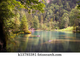 lago, em, a, madeiras