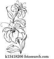 lilie, blume lilie, blume