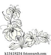 lilie, blume lilie, blume