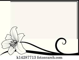 lily lily