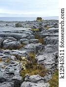 Limestone rock formation