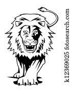lion lion