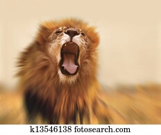 Lion Lion
