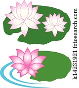 Lotus Lotus