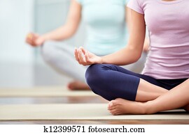 Lotus Lotus