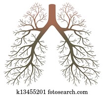 lung patients