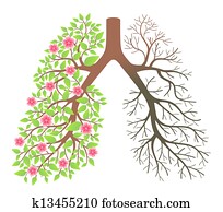 Lungs., efeito, após, fumar, e, disease

