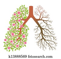 Lungs., efeito, após, fumar, e, dis