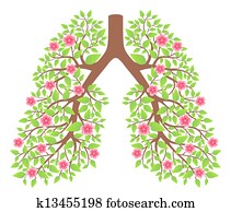 lungs healthy