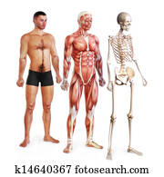 Male illustration Male illustration